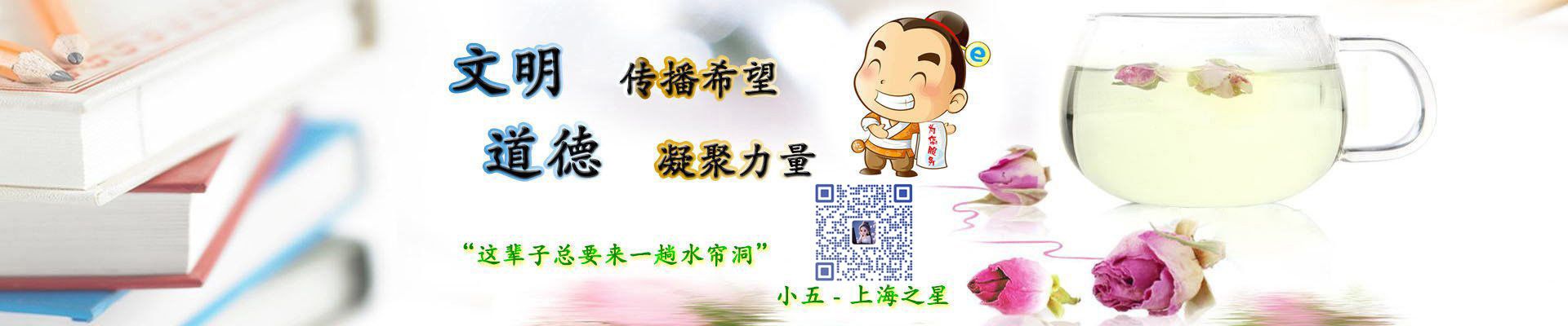 上海品茶工作室banner（1）号