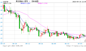 人民币汇率展现韧性 期权市场看涨情绪升至十四年高位