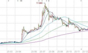蚂蚁花28亿港元，圆了“券商梦”