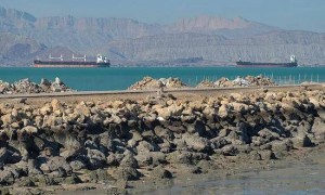 别只盯着油价了！霍尔木兹一“锁喉”，你的手机、冲锋衣可能都要变贵了