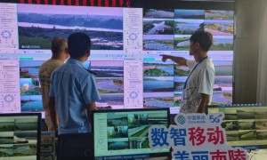 移起AI＋ ｜ 安徽移动：数字生态哨兵筑牢绿水青山“智慧防线”