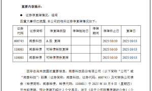 明抢了?荷兰政府接管中资芯片制造商,中企强烈抗议